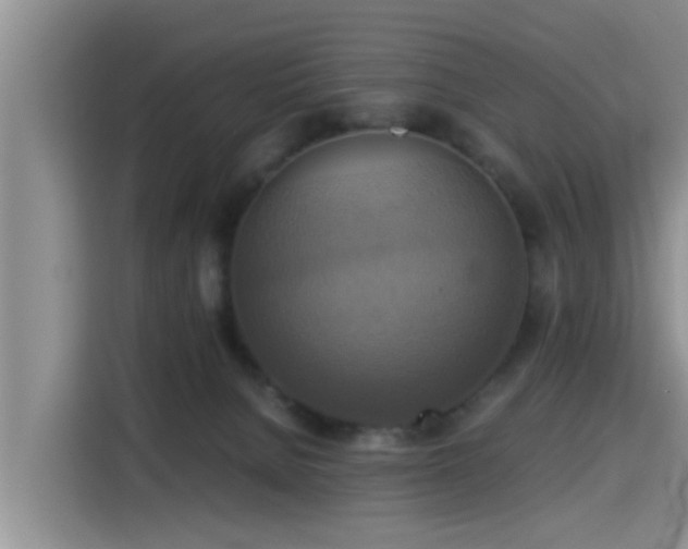 X0000115390080200911101501