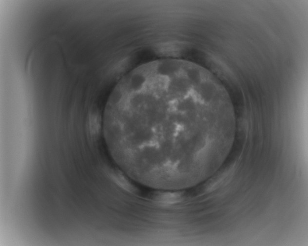 X0000115390081200911101501