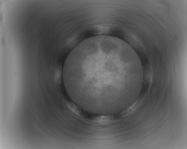 X0000115390082200911101501