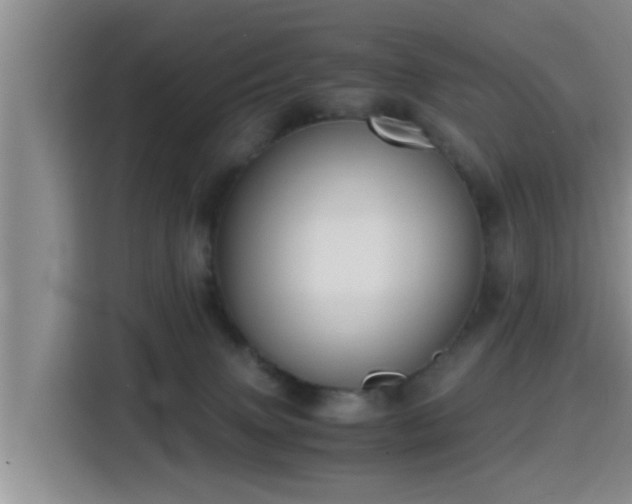 X0000115390083200911101501