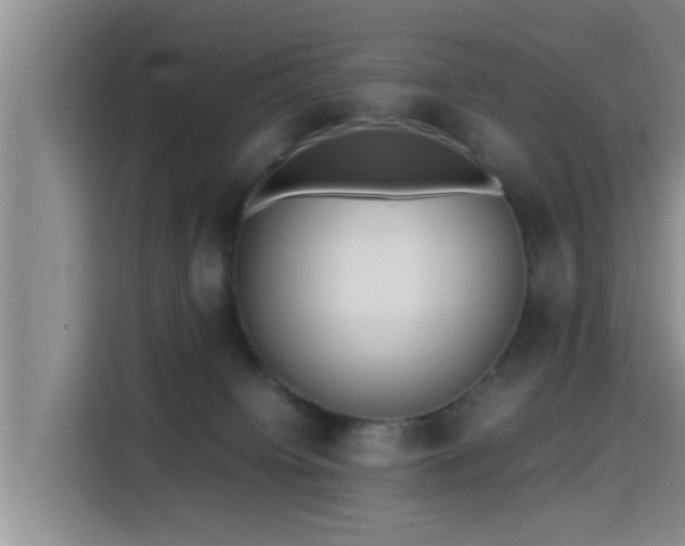 X0000115390084200911101501