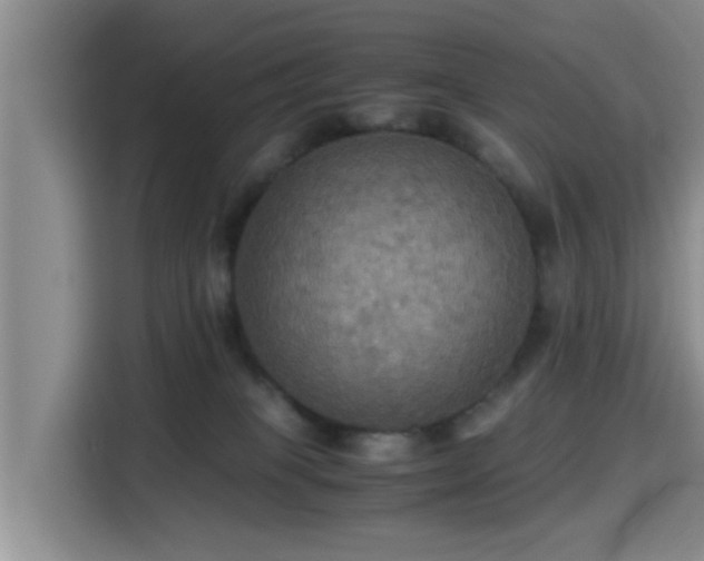 X0000115390085200911101501