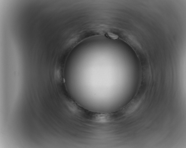 X0000115390088200911101501