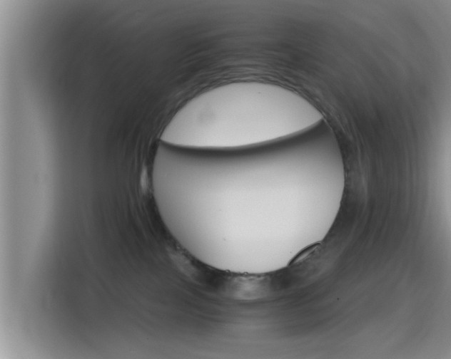 X0000115390089200911101501