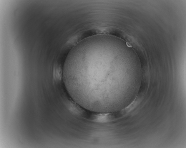 X0000115390090200911101501