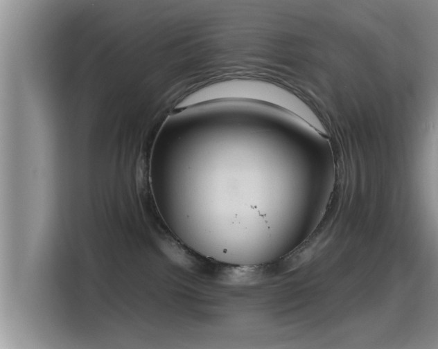 X0000115390092200911101501