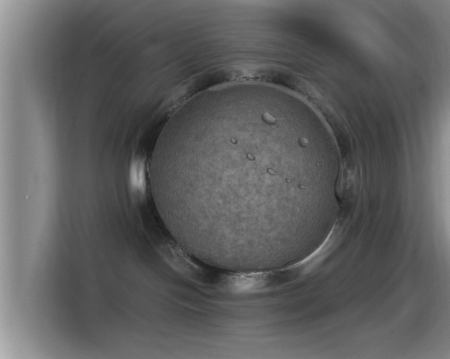 X0000115390094200911101501