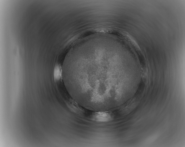 X0000115390095200911101501