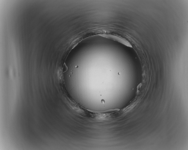 X0000115390096200911101501