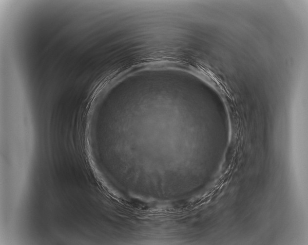 X0000115390097200911101500