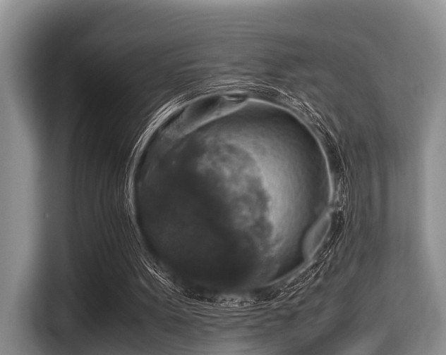 X0000115390099200911101500