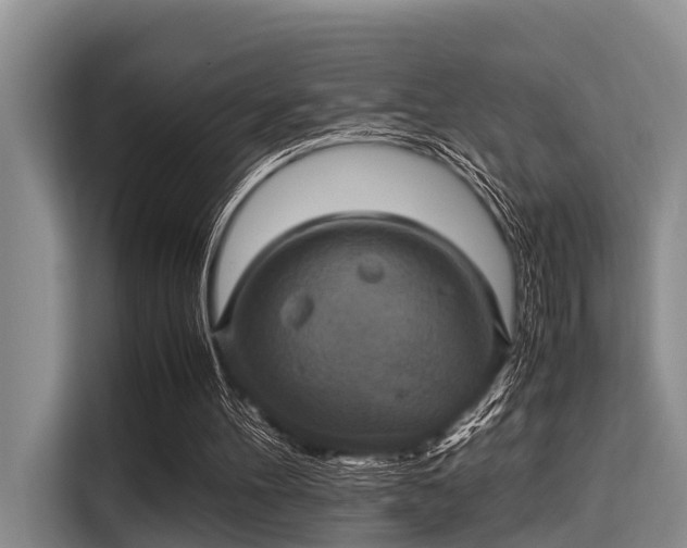 X0000115390100200911101500