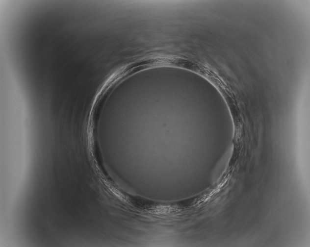 X0000115390101200911101500