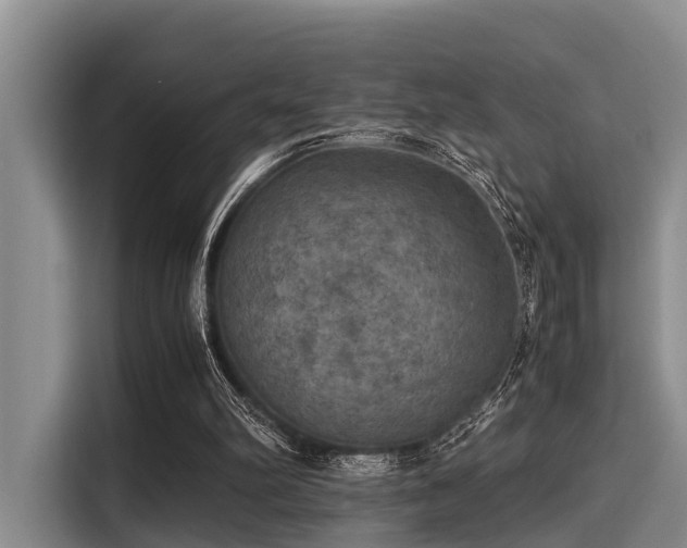 X0000115390102200911101500