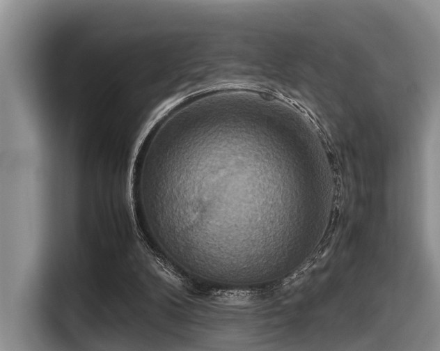 X0000115390104200911101500