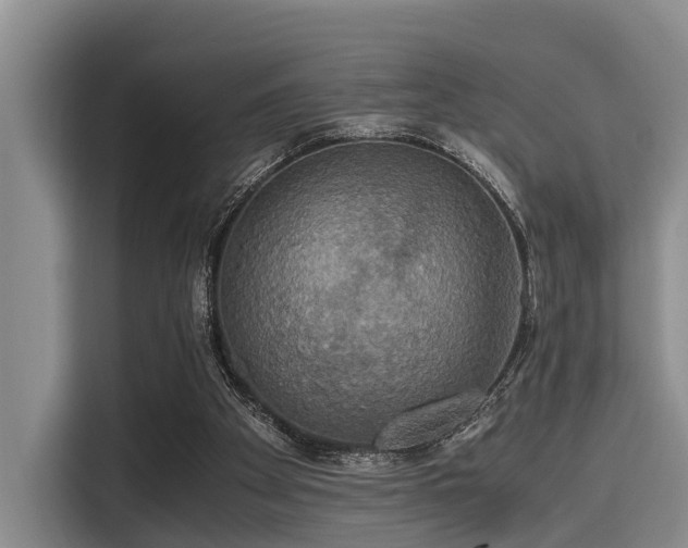 X0000115390105200911101500