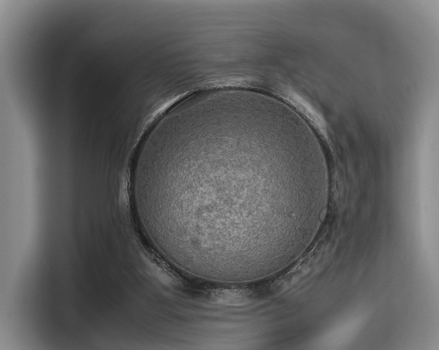 X0000115390107200911101500