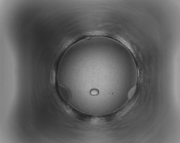 X0000115390109200911101500