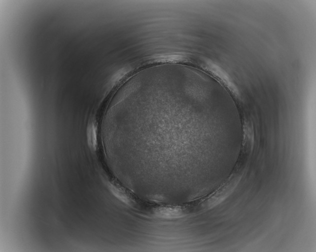 X0000115390110200911101500