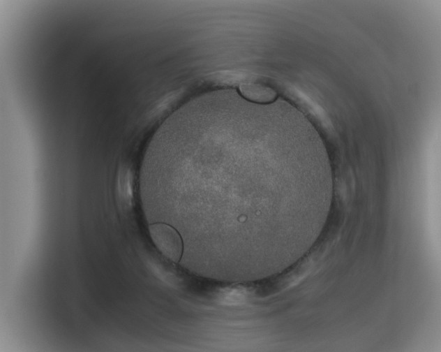 X0000115390115200911101500