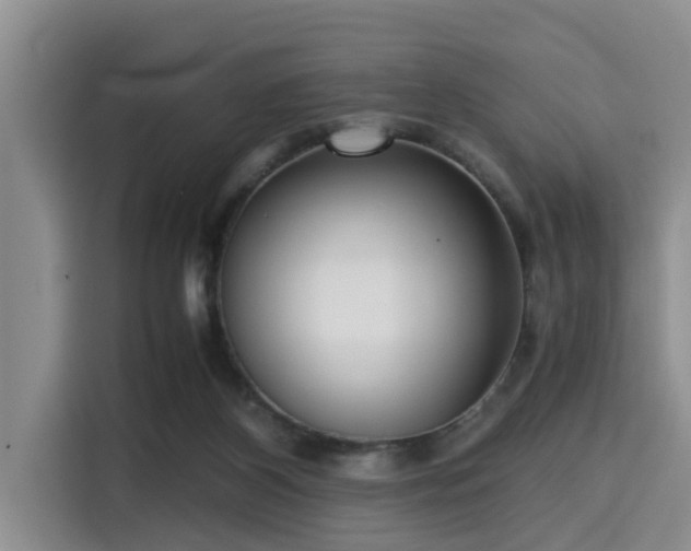 X0000115390116200911101500