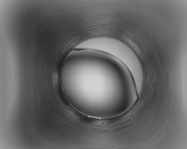 X0000115390117200911101500