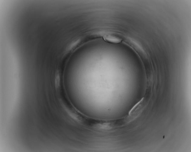 X0000115390120200911101500