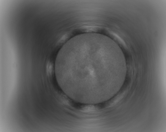 X0000115390123200911101500