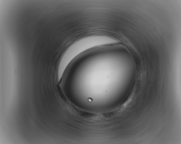 X0000115390124200911101500