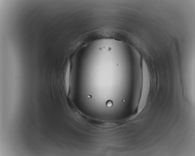 X0000115390128200911101500