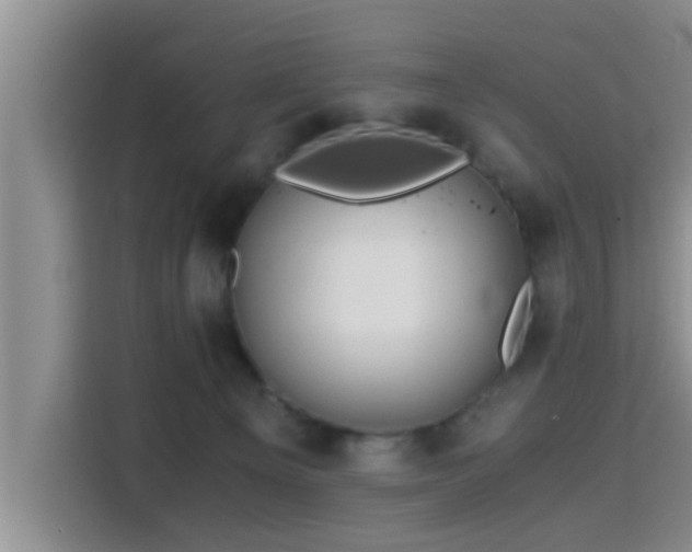 X0000115390129200911101500