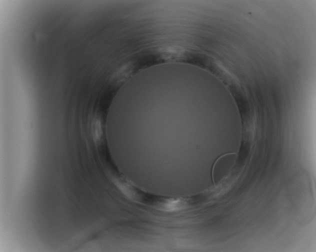 X0000115390130200911101500