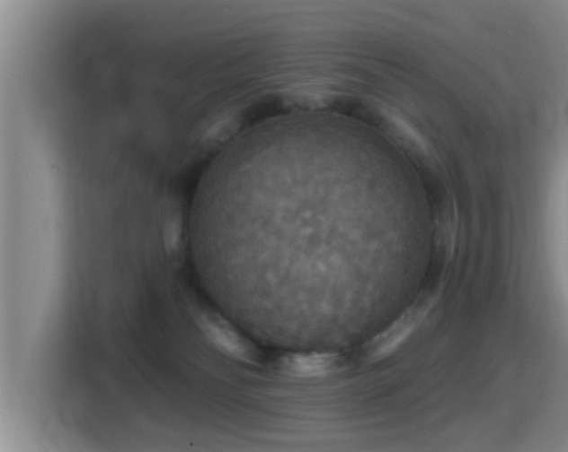 X0000115390134200911101500