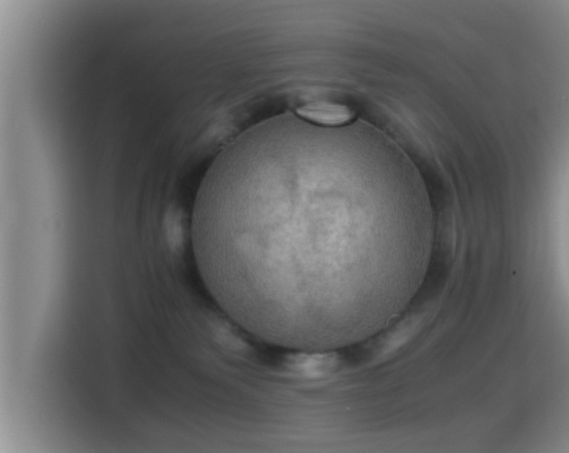 X0000115390135200911101500