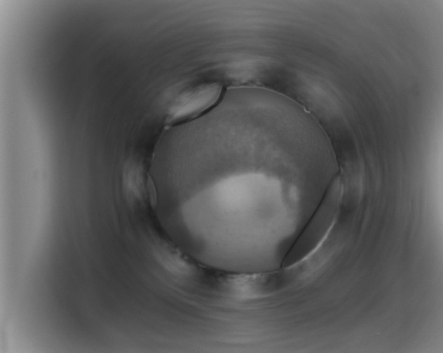 X0000115390136200911101500