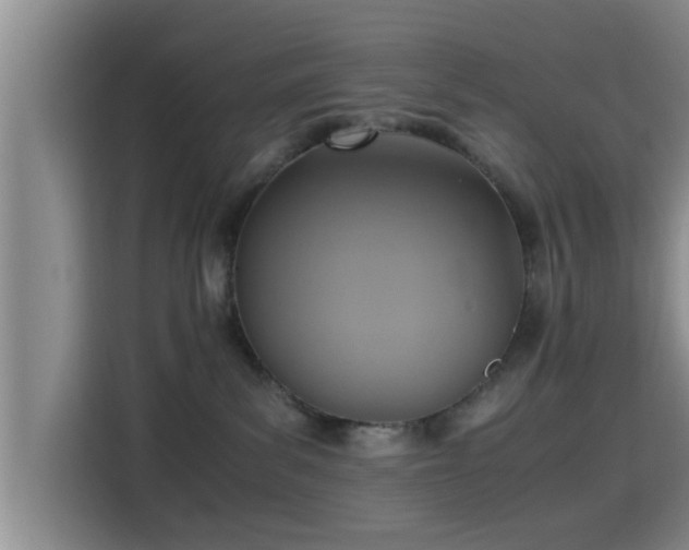 X0000115390139200911101500