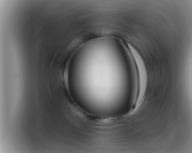 X0000115390140200911101500