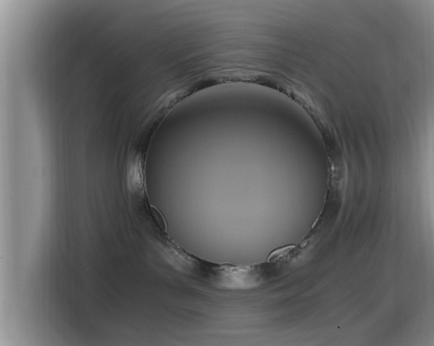 X0000115390143200911101500