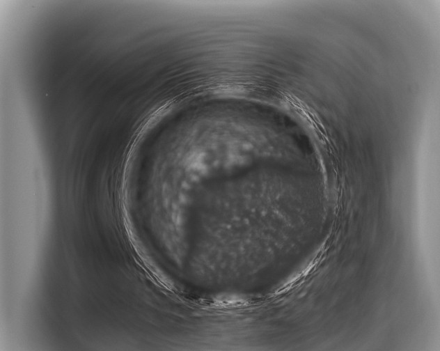 X0000115390145200911101459