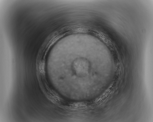 X0000115390146200911101459