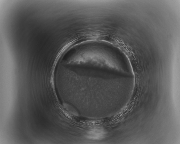 X0000115390147200911101459