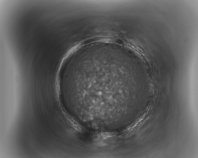 X0000115390149200911101459