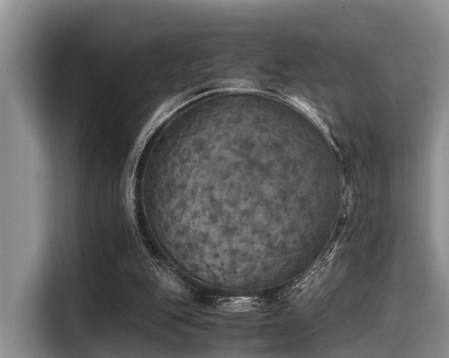 X0000115390151200911101459