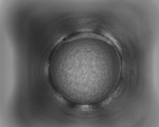 X0000115390153200911101459