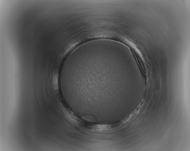 X0000115390154200911101459