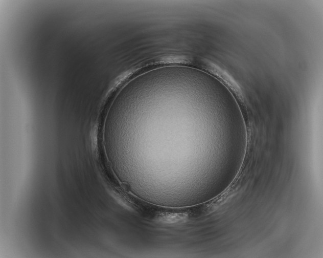 X0000115390155200911101459