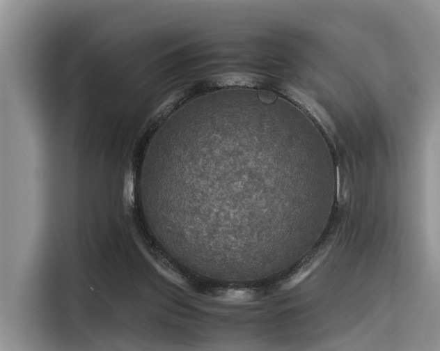 X0000115390157200911101459