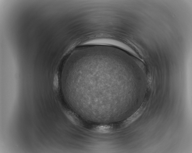 X0000115390158200911101459