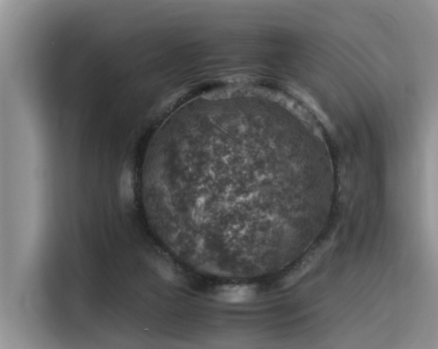 X0000115390161200911101459