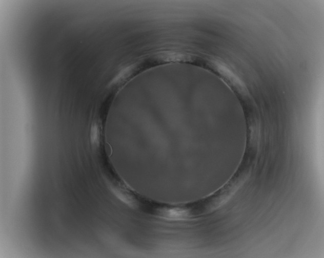 X0000115390165200911101459